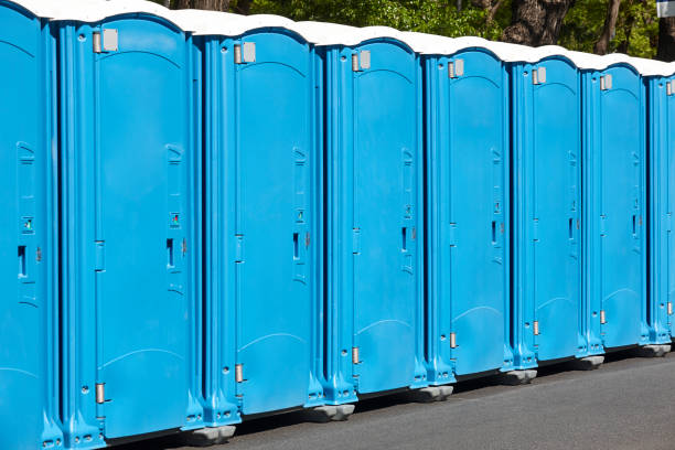 Types of Portable Toilets We Offer in Benton Harbor, MI